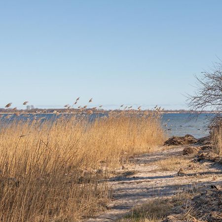 Ferienhaus Vor Ruegen Sundhagen-Niederhof Εξωτερικό φωτογραφία